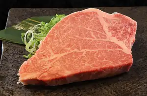 千叶牛夏多布里昂