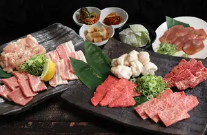 家庭聚会套装