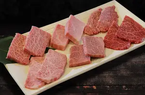 日本黑毛和牛牛肉试用红套装