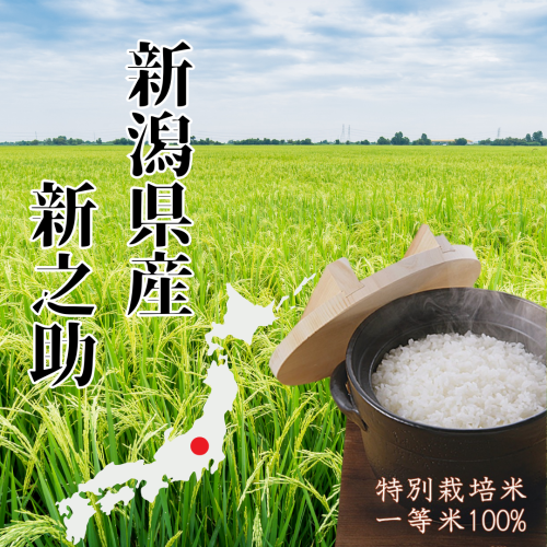 【特別栽培一等米】
