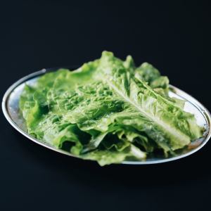 包み菜(チシャ)