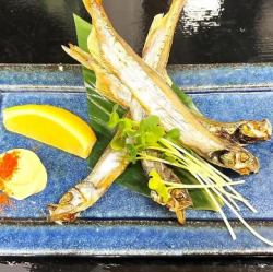 남자 앞 샤샤도 볶은 구이