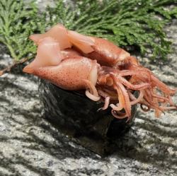 ホタルイカ軍艦【握り】