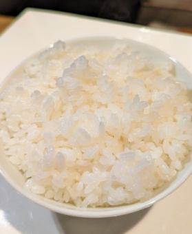 在米飯中