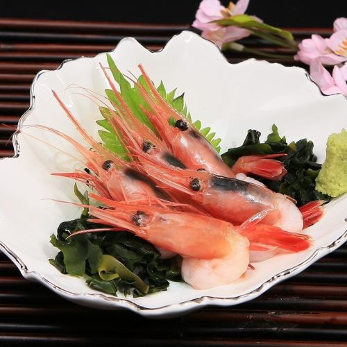 sweet shrimp sashimi