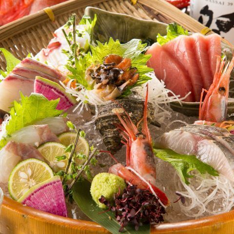 土日祝は12時~営業★「魚河岸直送特別一品プレゼント」!