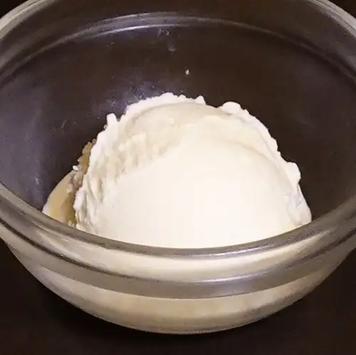 바닐라 아이스