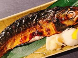 金華とろ塩鯖