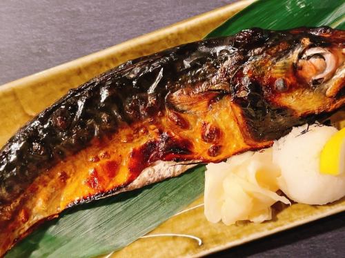 金華とろ塩鯖