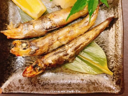 肴に！めひかり塩干し