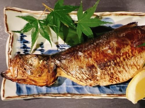 Air-dried fatty herring