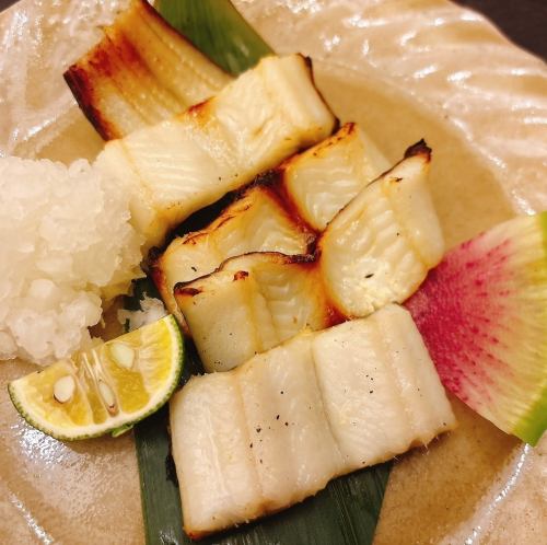 島根県産！活〆穴子。 大田の肉厚穴子の白焼き