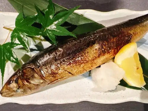 脂のり抜群。 大とろ塩いわし