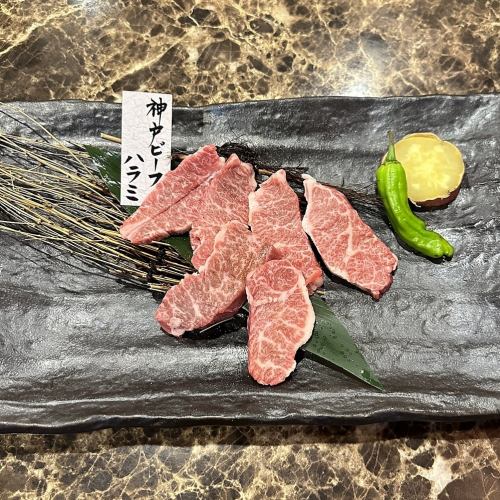 Kobe beef skirt steak