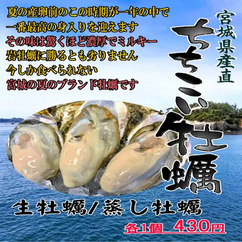三陸産牡蠣フェア開催中♪