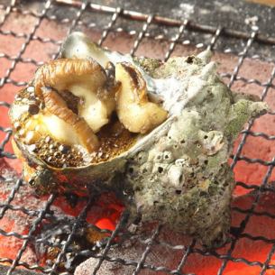 Grilled seasonal shellfish