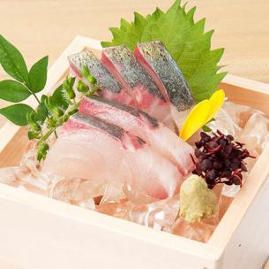 縞鯵 刺身