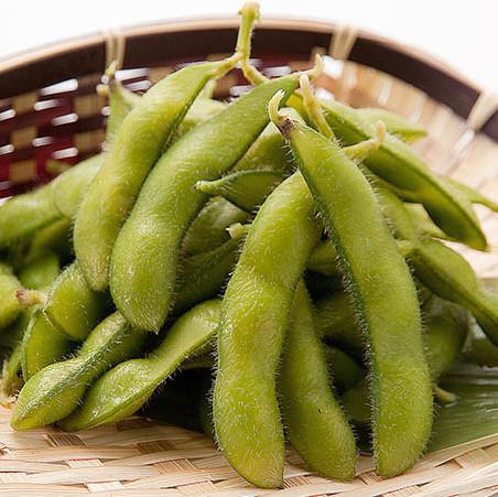 【産直】生もぎ枝豆<茹で または 焼き>