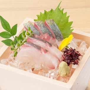 Striped horse mackerel sashimi