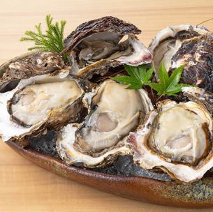 One rock oyster