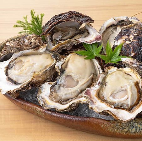 One rock oyster