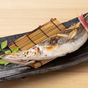 Grilled barracuda with salt