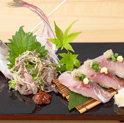 A feast of horse mackerel: <Pickled plum and nigiri sushi>