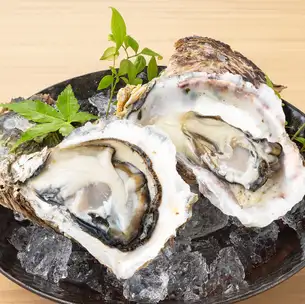 岩牡蠣　1個