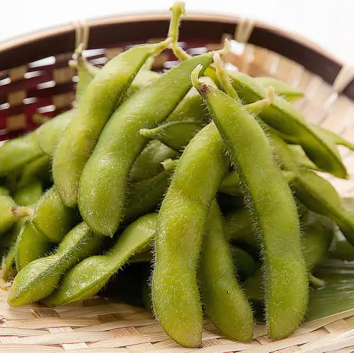 【産直】生もぎ枝豆<茹で＞