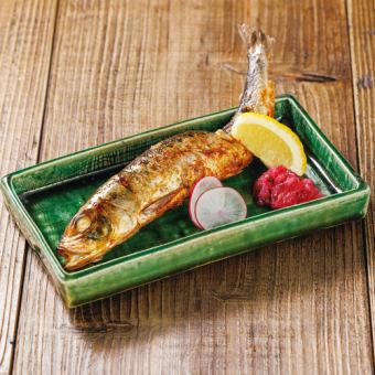 大トロいわし