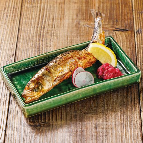 大トロいわし