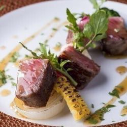 メイン料理