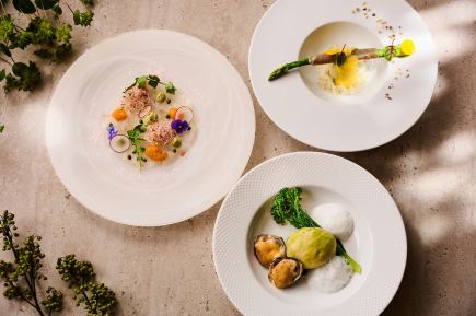 【春極】9,900円