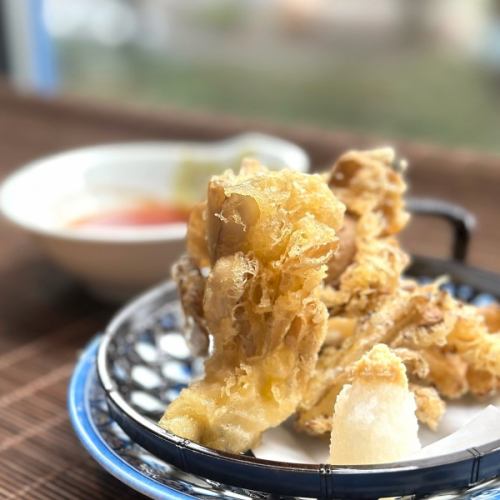 Maitake mushroom tempura