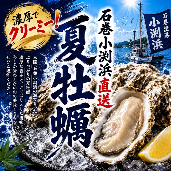 石巻小渕浜直送夏牡蠣