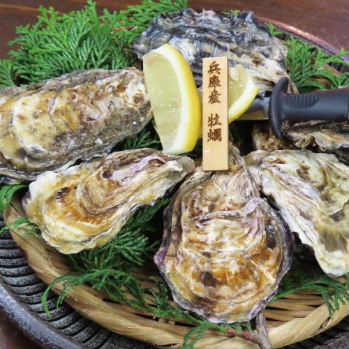 その時の一番旨い牡蠣を！