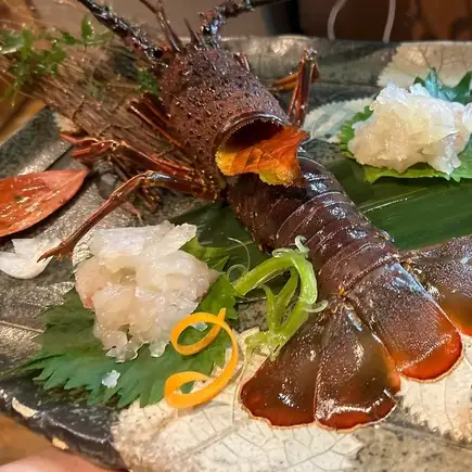 【期間限定】伊勢海老祭り!選べる伊勢海老料理と天草大王など贅沢全11品(飲放付に変更可能!)