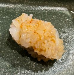 生タコ
