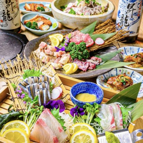 【個室確約】刺身&黒豚&桜島溶岩焼きなど薩摩名物集結…2H飲み放題付『薩摩の魅力コース』4500円