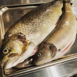 本日の魚料理　その日のスタイルで