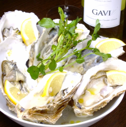 Raw oysters