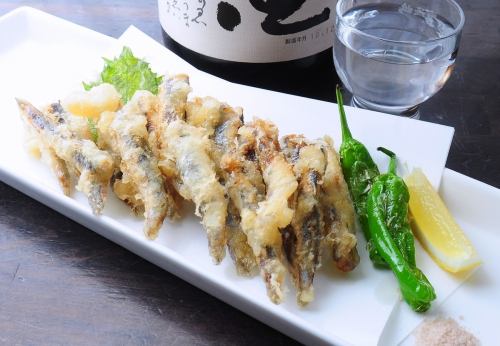 Seto Inland Sea small sardine tempura