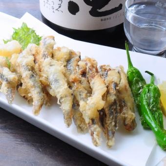 ★【2時間飲放付】■広島コース『プチまとめ』■カキ・穴子刺し・肉玉そば…6.000円→5.500円に