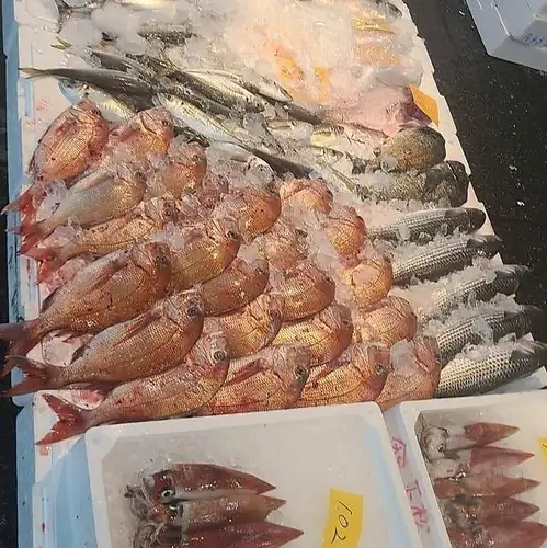 Red sea bream from the Seto Inland Sea