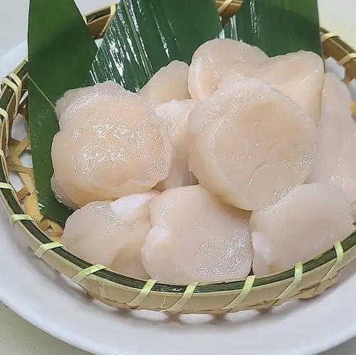 Raw scallops