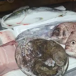 鳄鱼(一种高档白肉鱼)、章鱼、带鱼、鲷鱼
