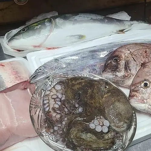 ワニゴチ(白身の高級魚)、タコ、タチウオ、真鯛