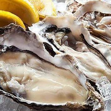 三陸や北海道、広島など全国よりその時期一番美味しい牡蠣を！
