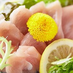 ササミ（刺身・タタキ・梅和え）