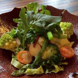 Seasonal vegetable salad